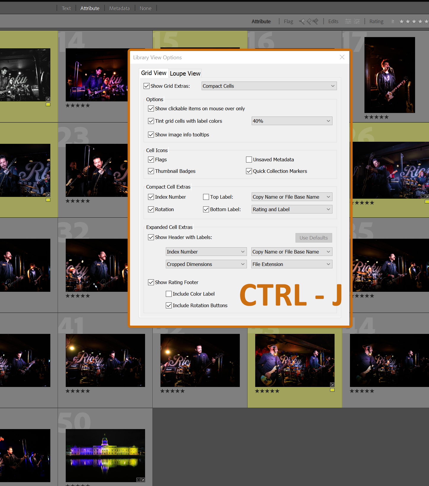 Adobe Lightroom Grid View CTRL-J Adobe Lightroom Grid View CTRL-J