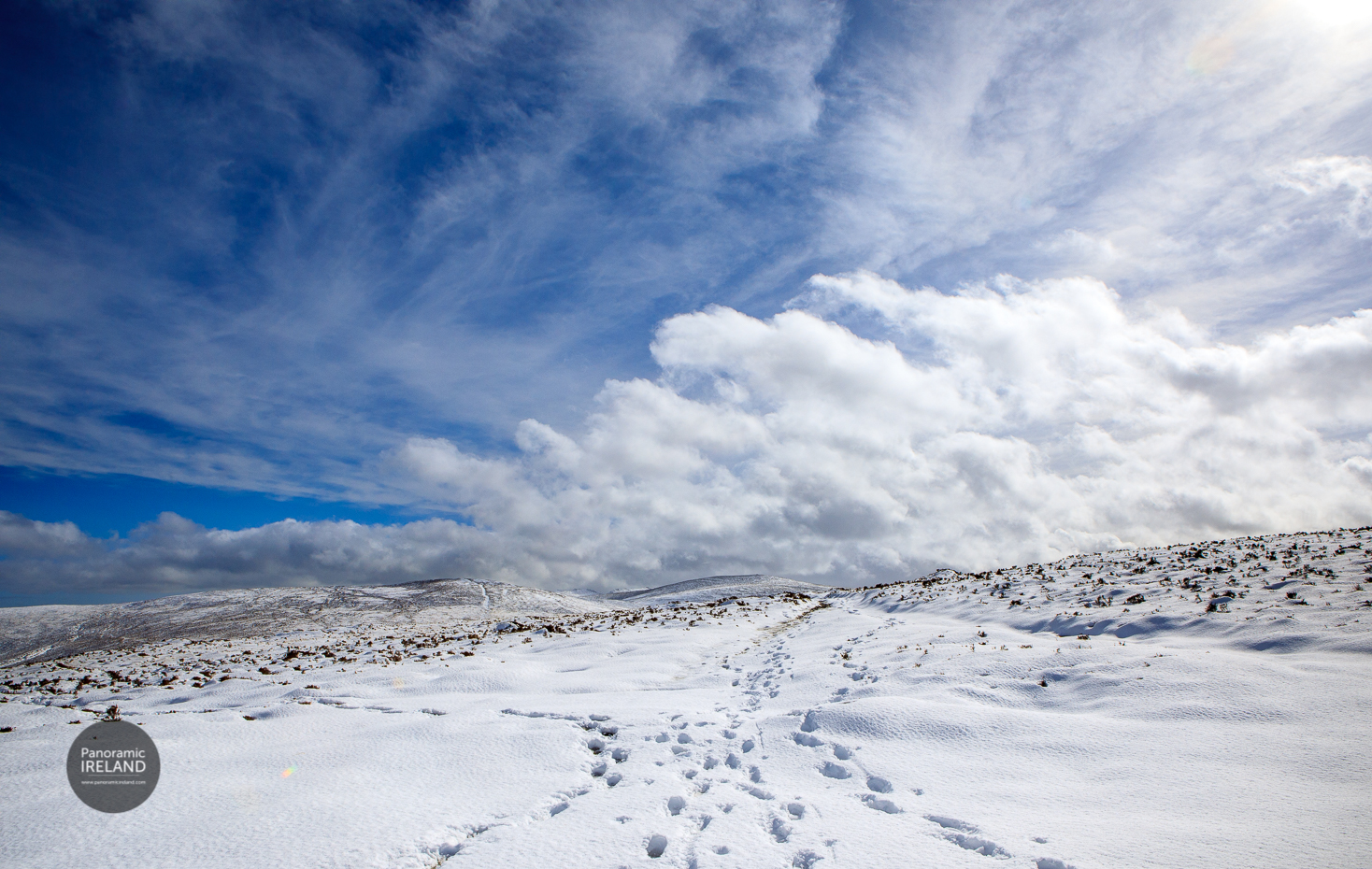 Footsteps in the Snow, Ireland March 2022 Footsteps in the Snow, Ireland March 2022
