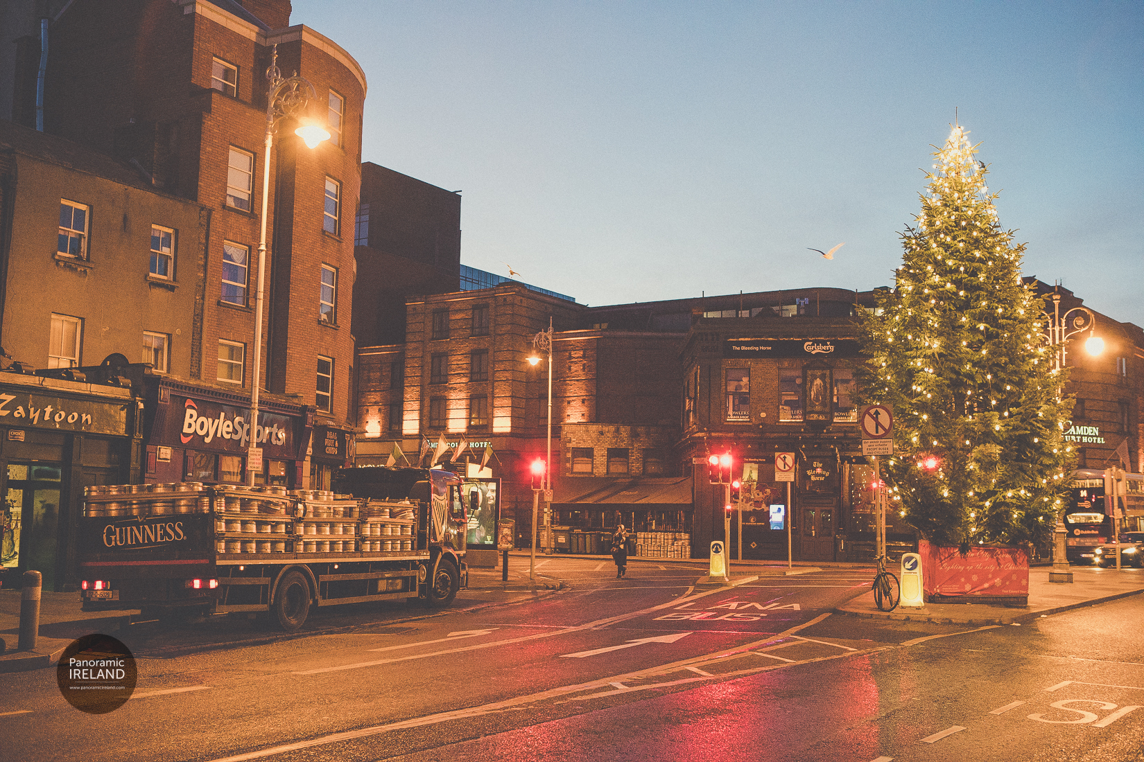 Camden Street Christmas Tree Camden Street Christmas Tree