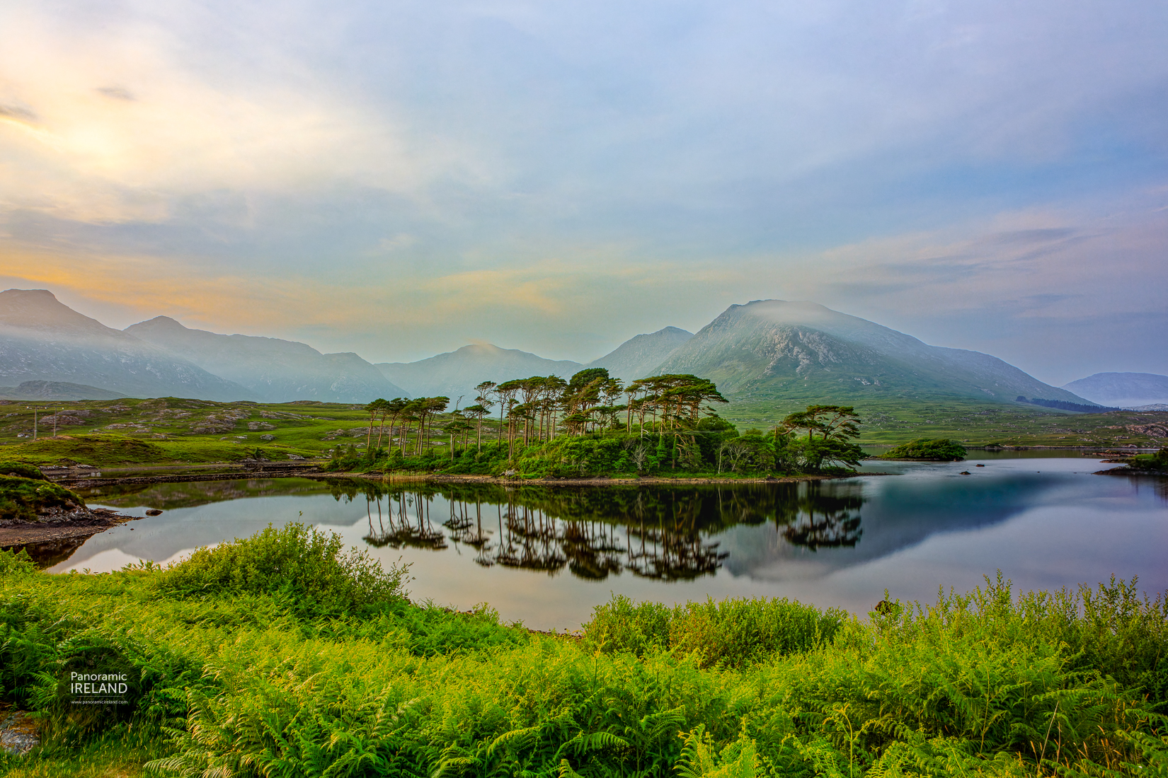 Pine Island, Connemara, Galway - Ireland Pine Island, Connemara, Galway - Ireland