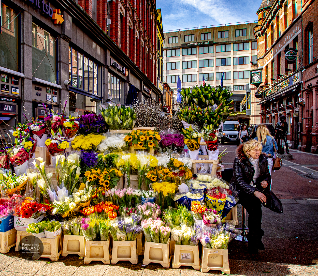Famous Flower Sellers of Grafton Street, Dublin Famous Flower Sellers of Grafton Street, Dublin