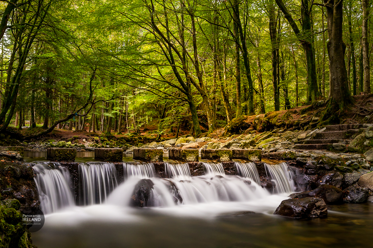 Stepping Stones over a woodland river Stepping Stones over a woodland river