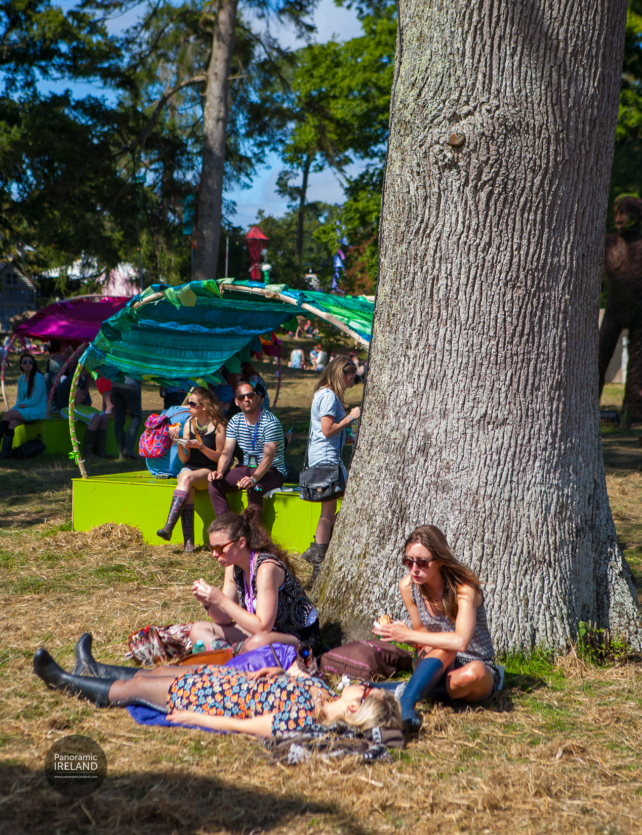 Picnic Under the Tree in the Sunshine at Electric Picnic Picnic Under the Tree in the Sunshine at Electric Picnic