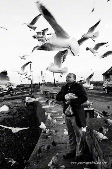 Feeding birds in The Claddagh, Galway