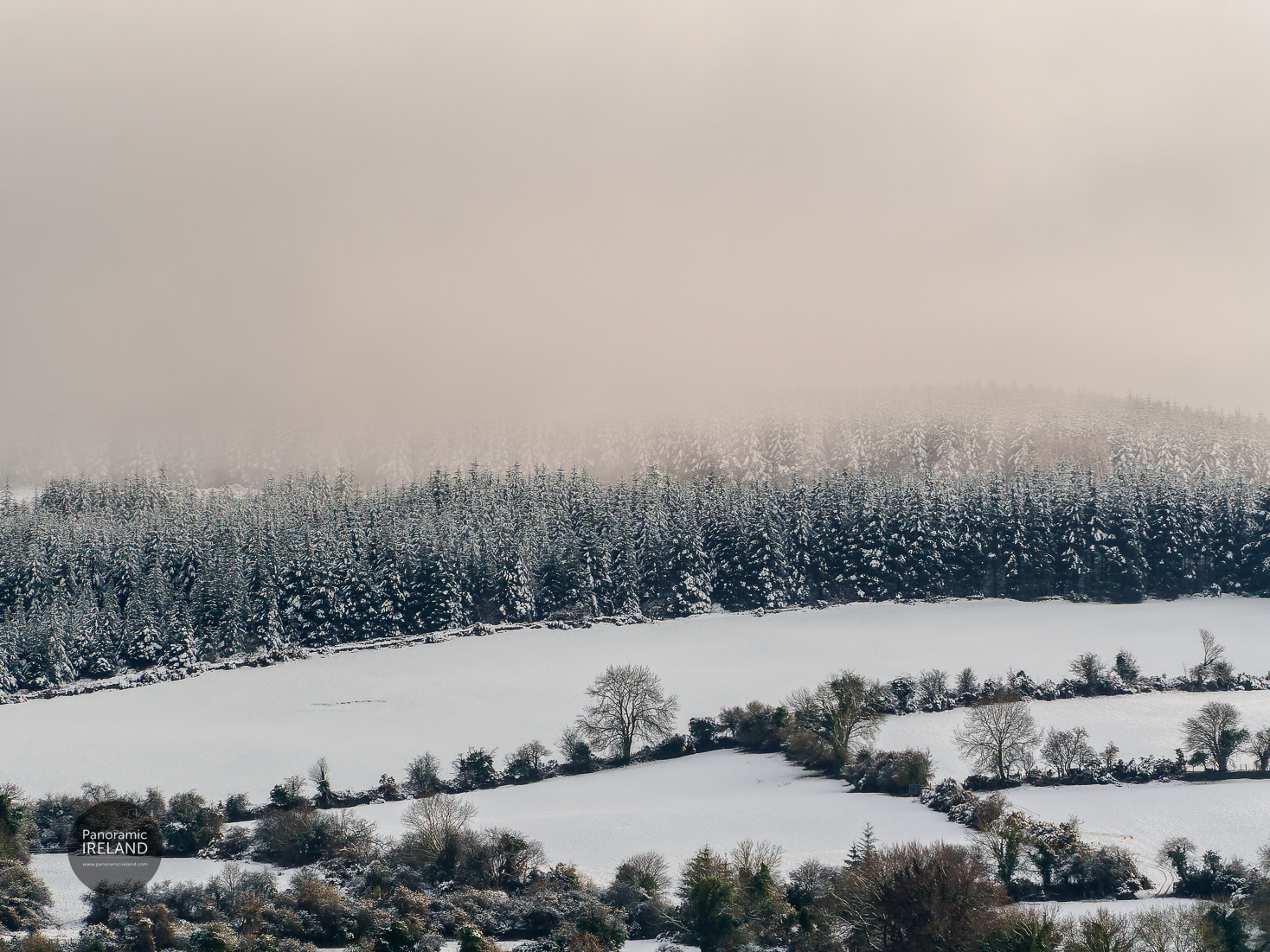 Snow blankets the Irish countryside in March 2022 Snow blankets the Irish countryside in March 2022