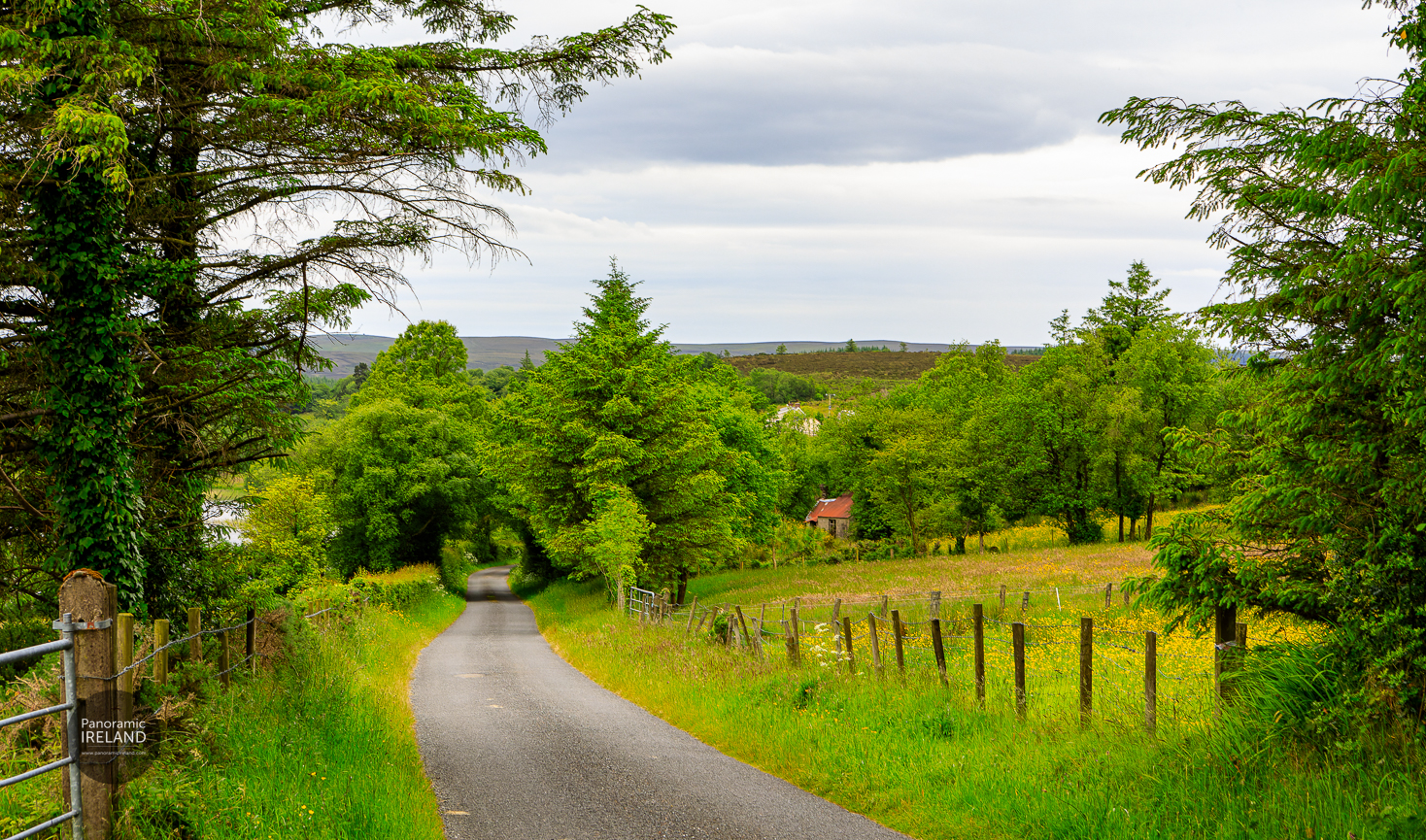Scenic Roads in an Irish Summer Scenic Roads in an Irish Summer