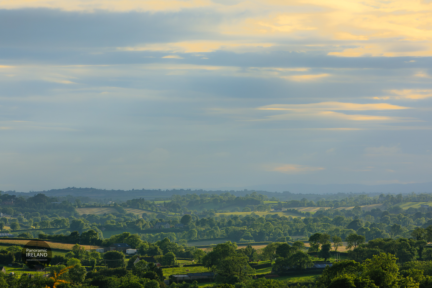 Drumlins and Trees, Summer Scenery in Ireland Drumlins and Trees, Summer Scenery in Ireland