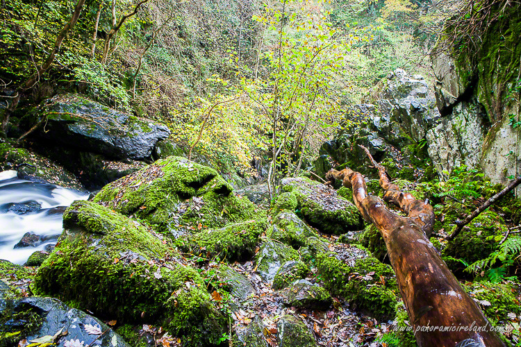 Clambering over mossy rocks, the waterfall behind me.
