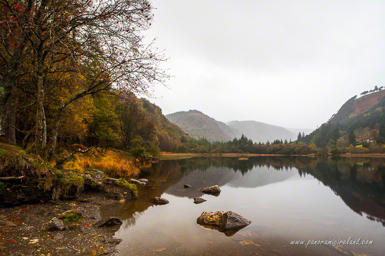 wicklow not belfast-5583