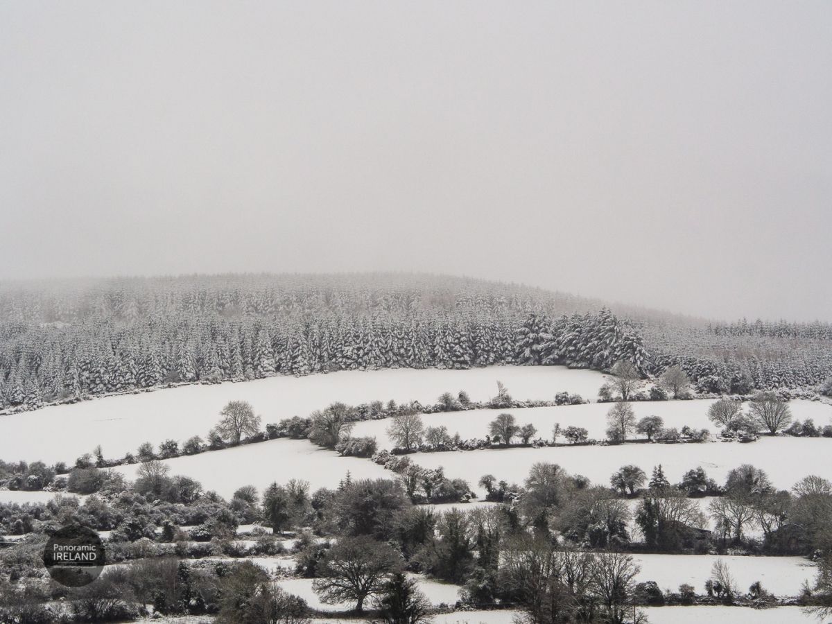 Snow in Ireland, March 2022