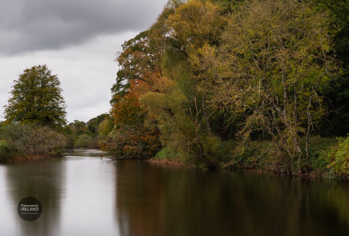Cloudy Autumn along the River, Ireland