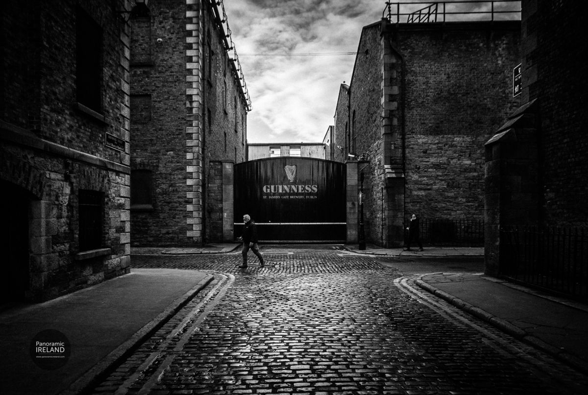 People of Dublin as Pints of Guinness, Street Photography in Ireland