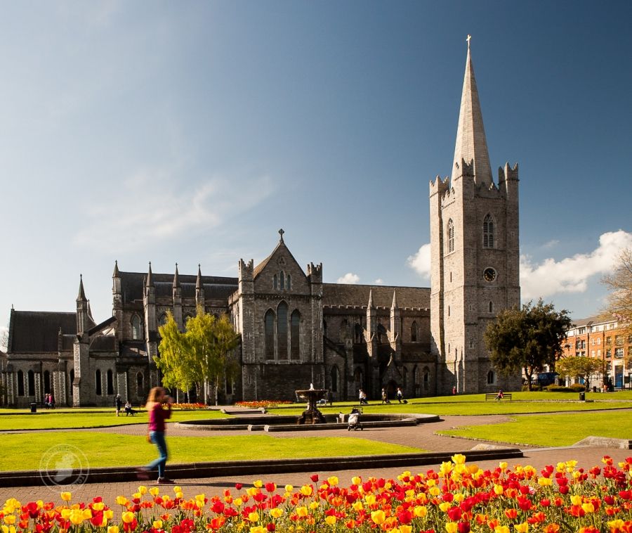Colour from Dublin&#039;s Parks