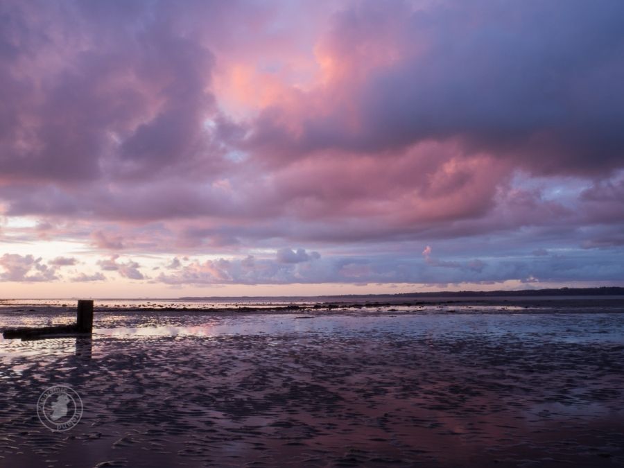 Pink Sky at Sunrise