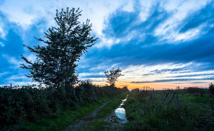 Sunset in Ireland&#039;s Midlands, Laneway of Colour