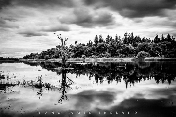 Photography in Black and White