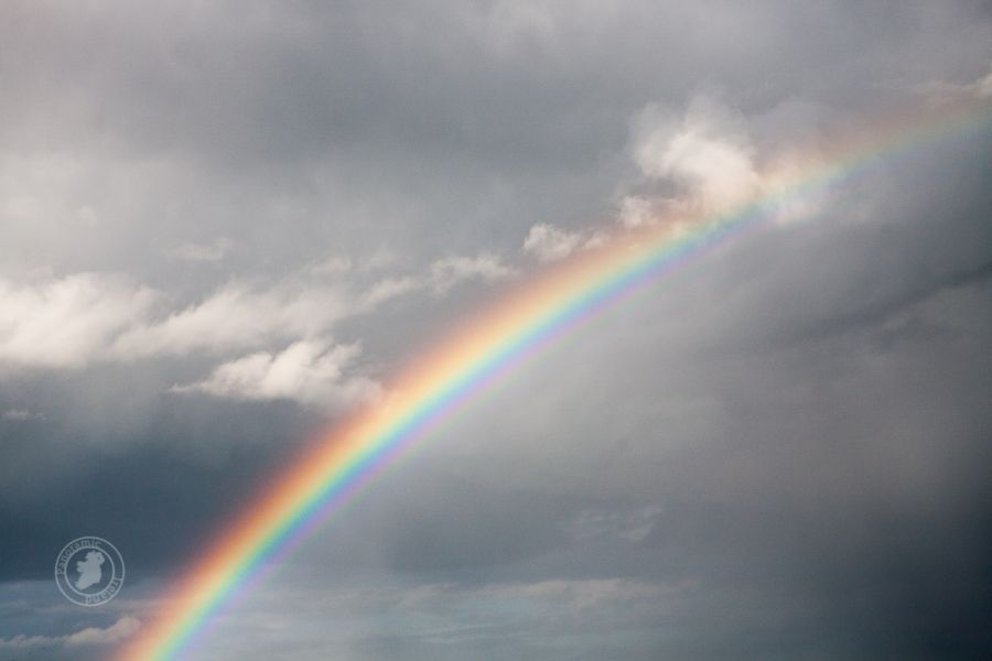 Rainbow - Image of the Week