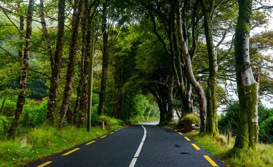 It&#039;s All About the Journey, Sometimes the Journey is as Scenic as the Destination