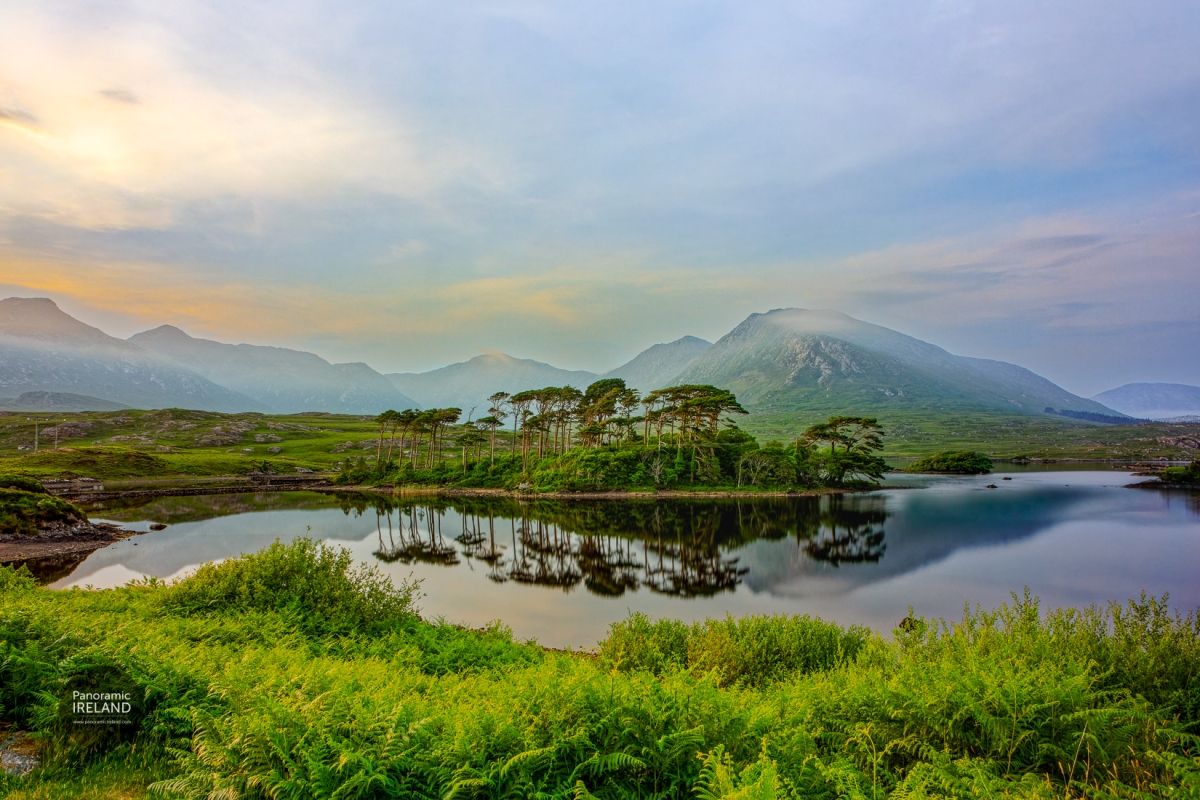 Pine Island, Connemara or Somewhere Tropical?