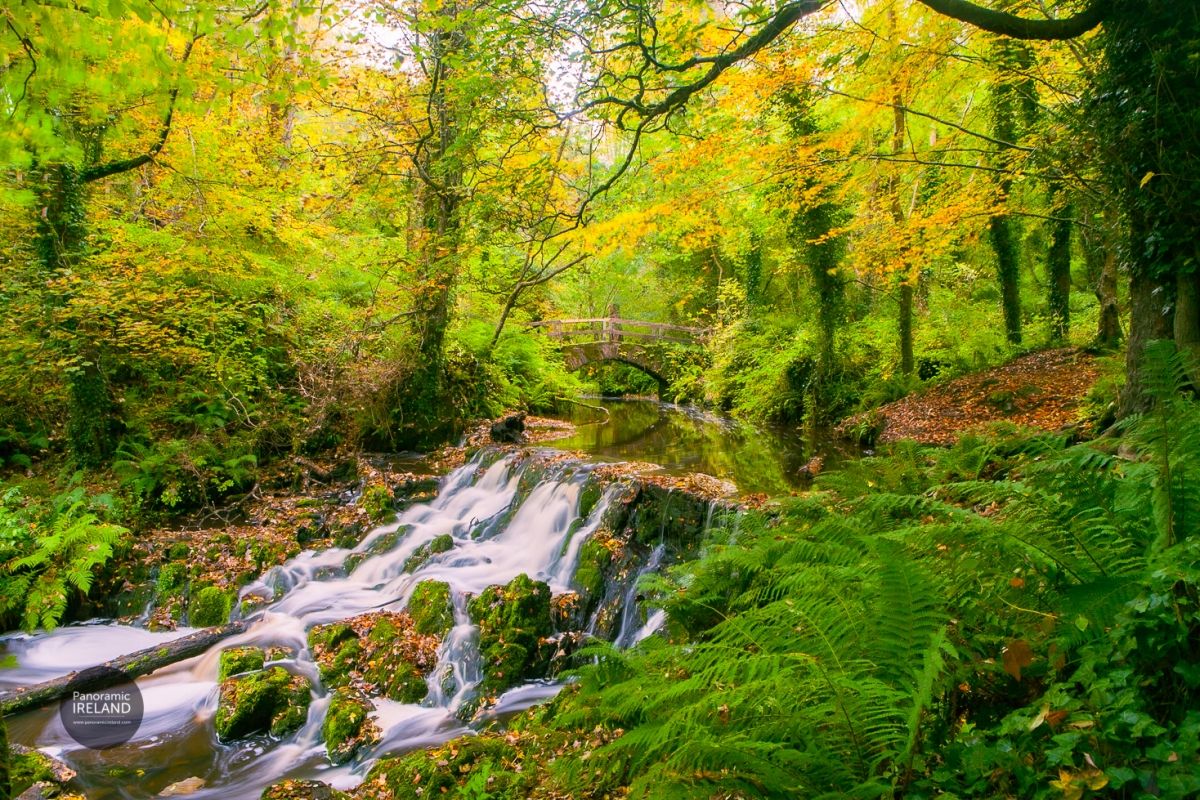 River and Bridge in Autumn, Landscapes of Ireland