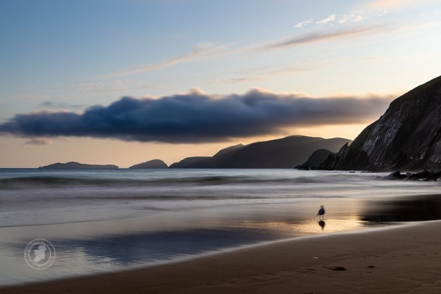 Coumeenole Beach, Dingle
