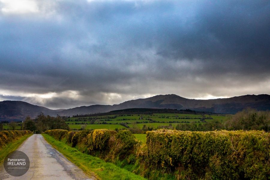 Away from the crowds in Ireland, a countryside scene