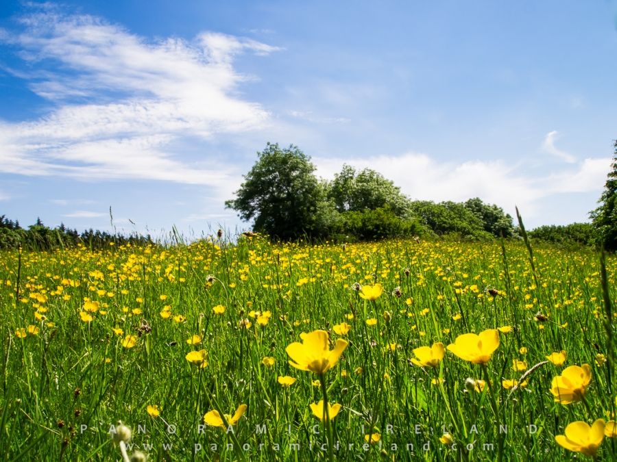 Busy Spring 2016
