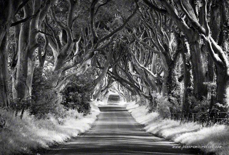 Game of Thrones - Antrim Tour