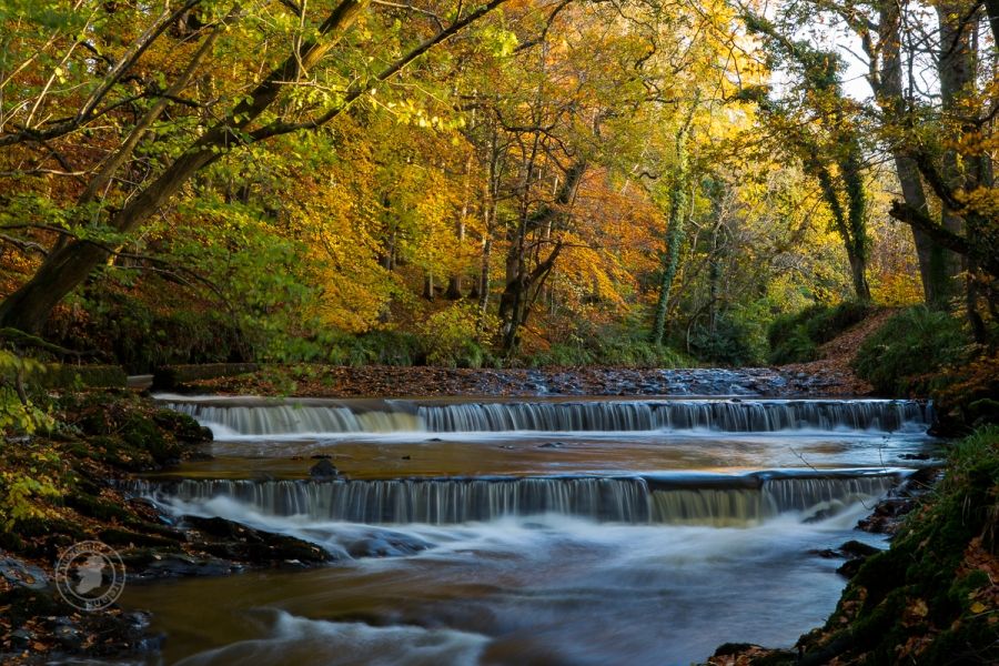 Autumn Reflections, the Woodland Stream