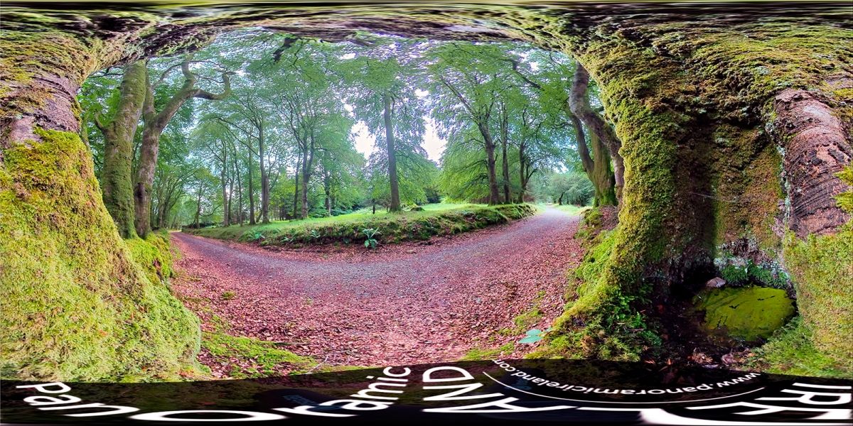 Tree Panorama for National Tree Week 2021, Ireland