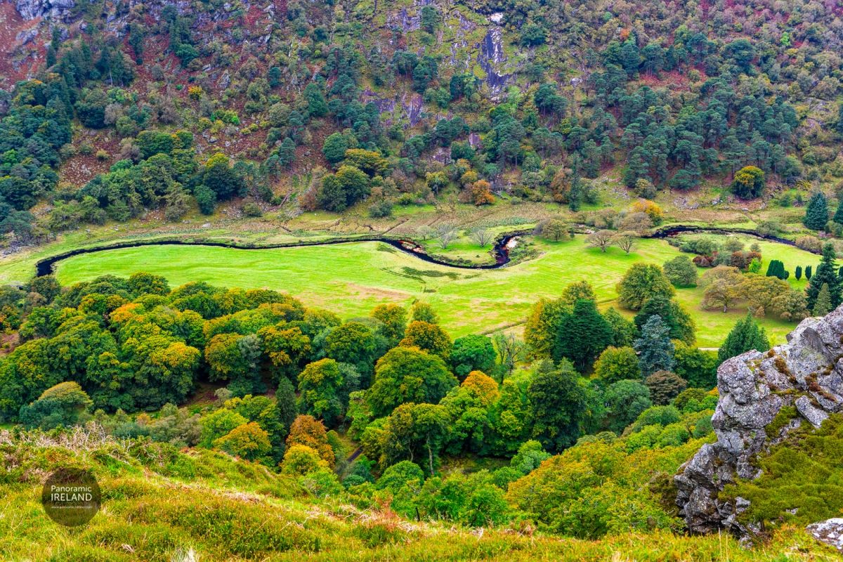Colour of Autumn in Ireland
