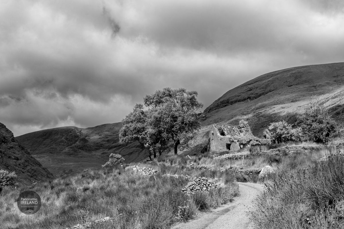 Black and White Landscape, Ireland