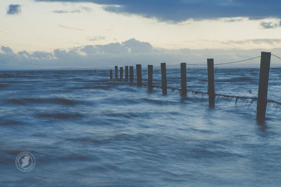 The Old Fence