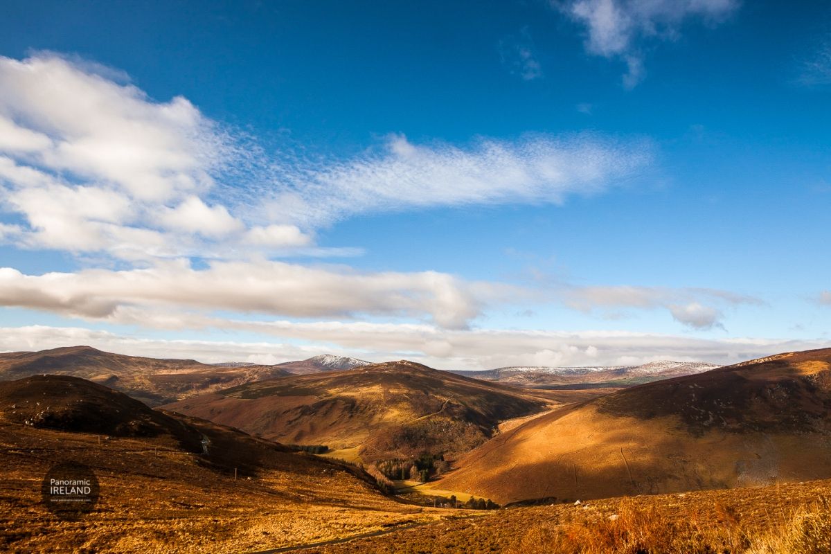 Reds of the Winter Wicklow Landscape