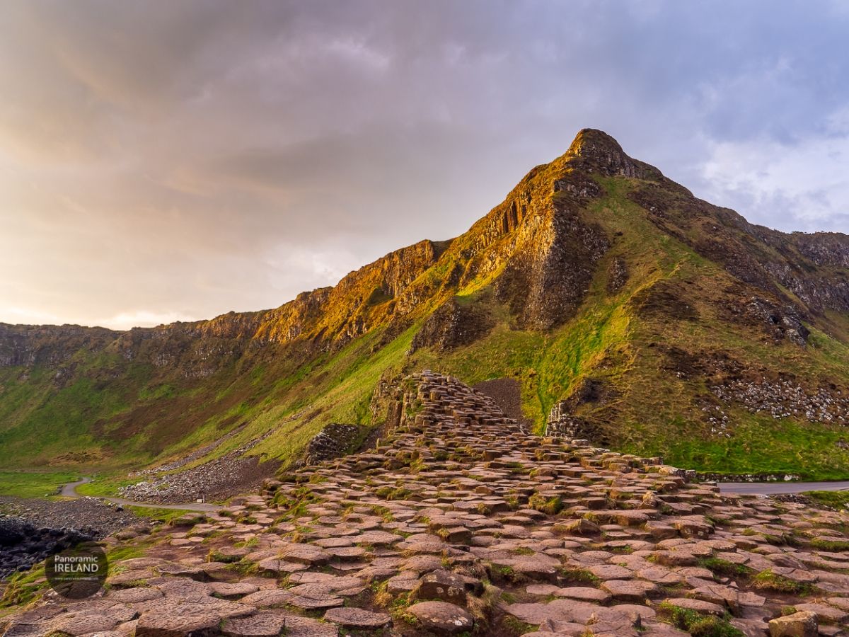 Spring at the Giant&#039;s Causeway