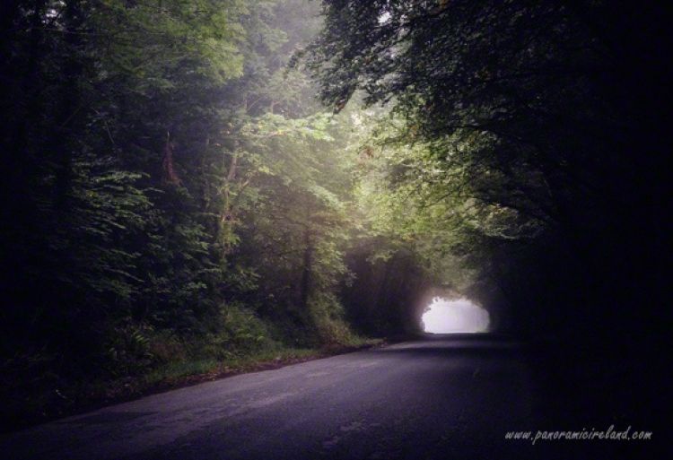 Ireland&#039;s Roads