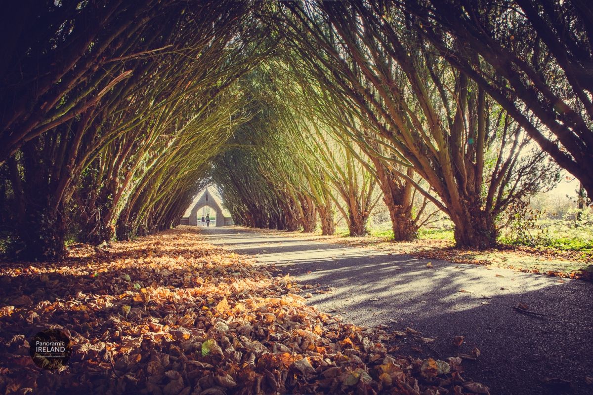 The Scenic Walk, Ireland