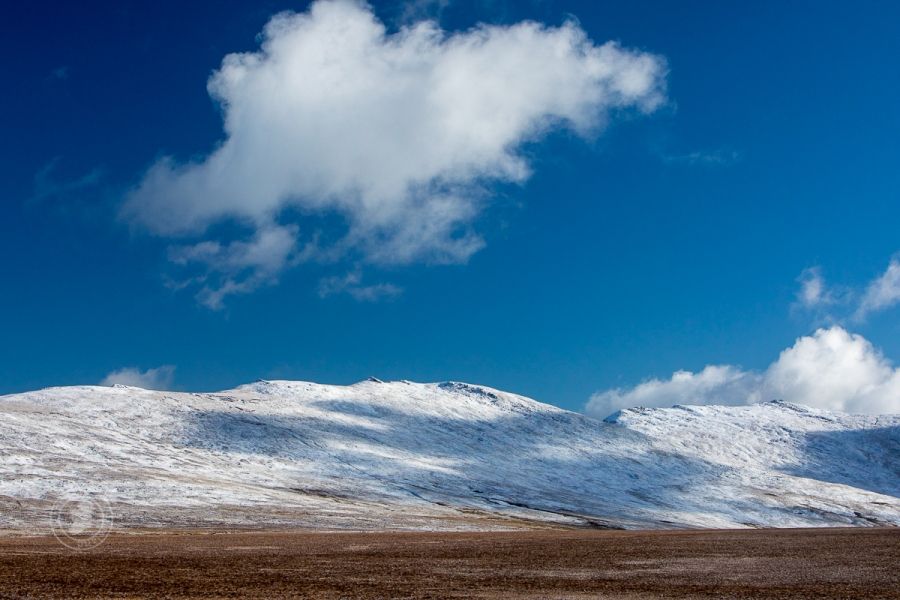 More February Snow, Ireland