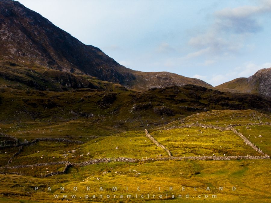 Stone Walls, Small Fields in the West of Ireland