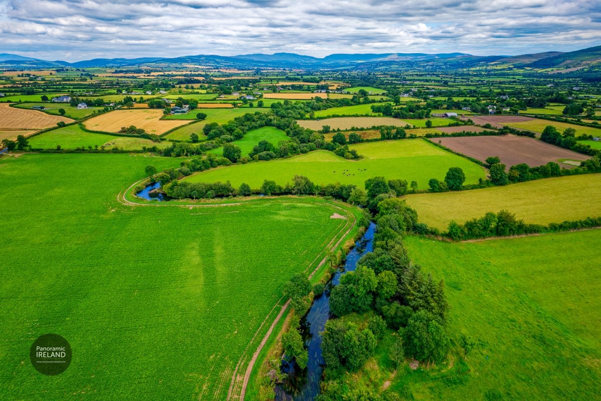 Bend in the River, a Patchwork of Fields - Green Irish Landscape in Summer
