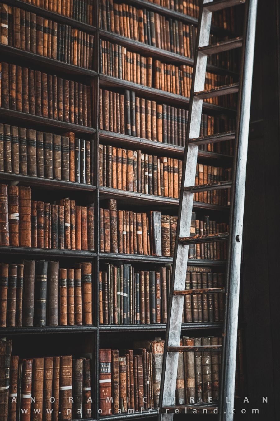 Long Room Library, Trinity College Dublin
