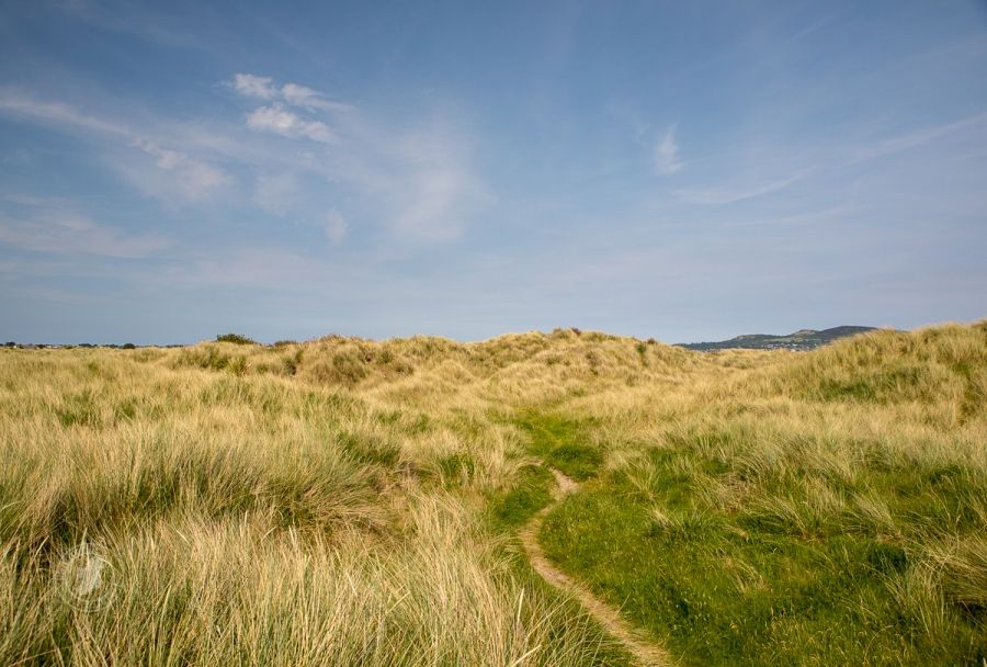Dunes of Dublin Bay - Biosphere
