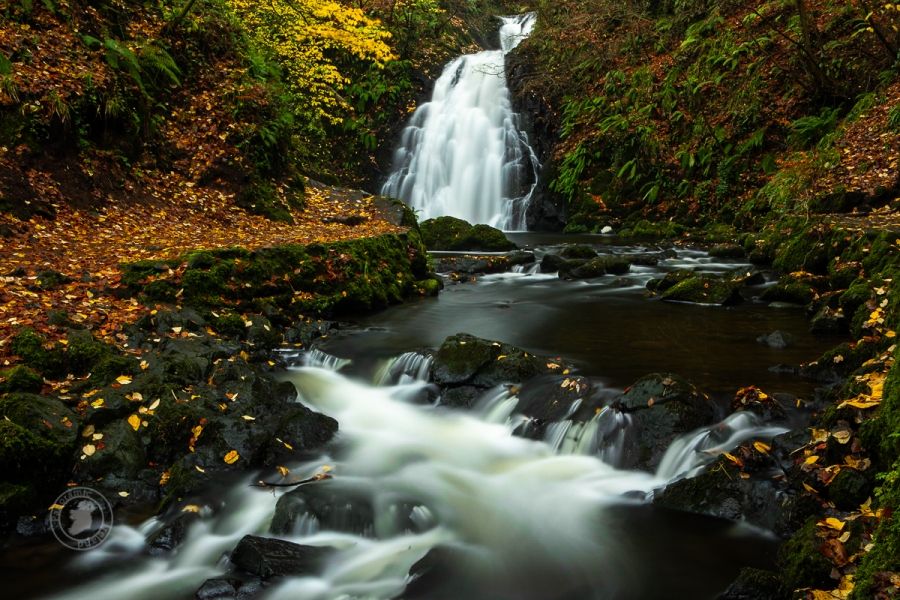 The Waterfall at End of Autumn