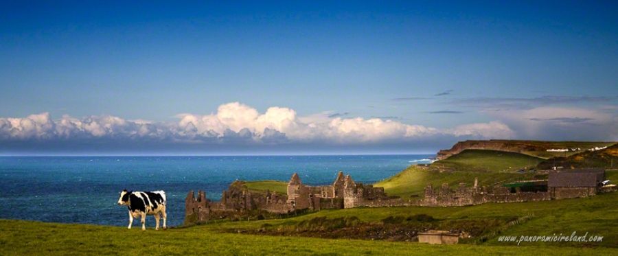 Dunluce Castle, Co. Antrim