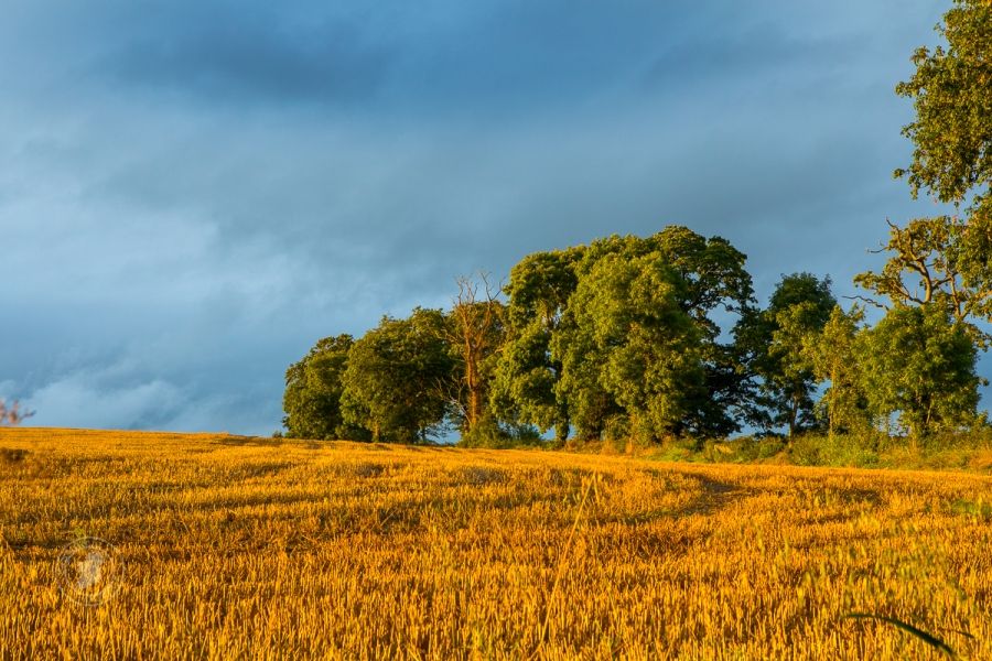 Bright Golden sunset Light after Grey Day