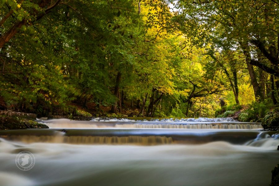 The River in Autumn