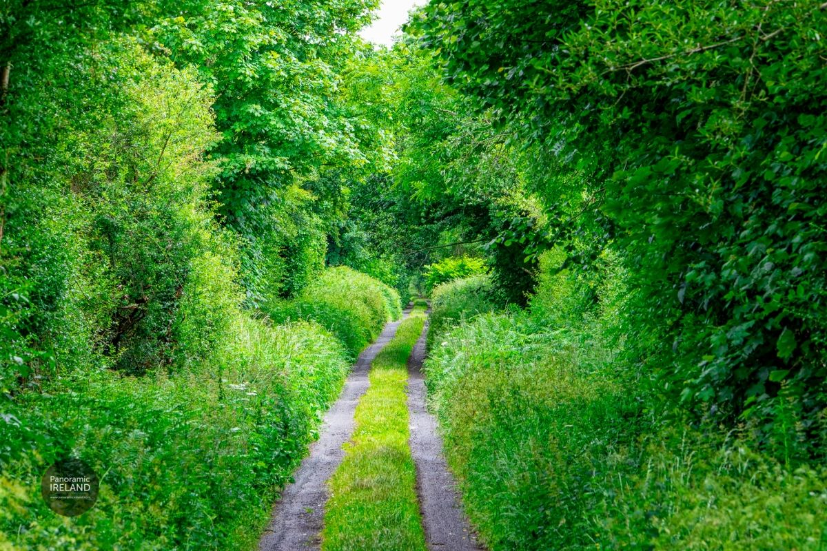 End of Summer in Ireland, Taking the Scenic Back Roads in County Cavan