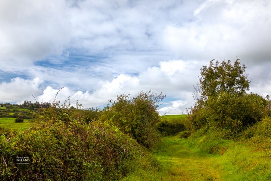 Autumn on Ireland&#039;s Green Roads