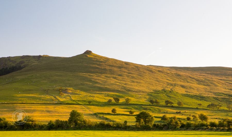 A Summer View in Ireland of Sheep-dotted Hills and Green Fields