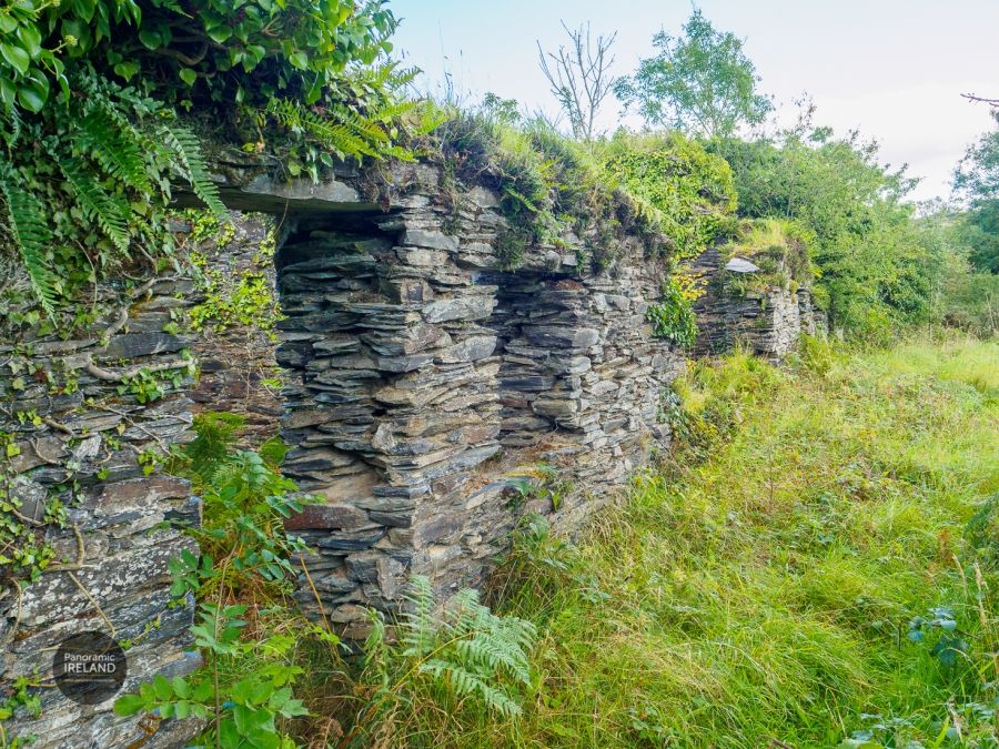 Exploring Ireland in the COVID-19 Pandemic
